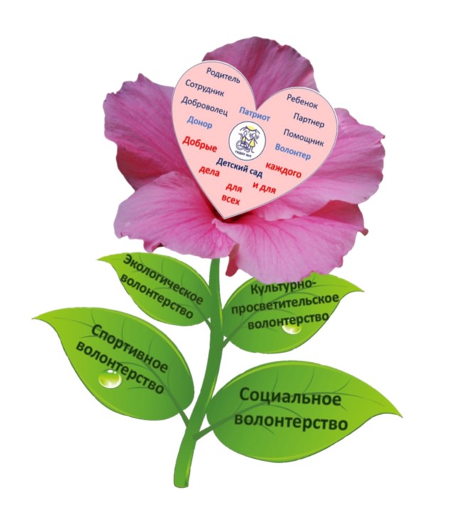 цыеток волонтерство